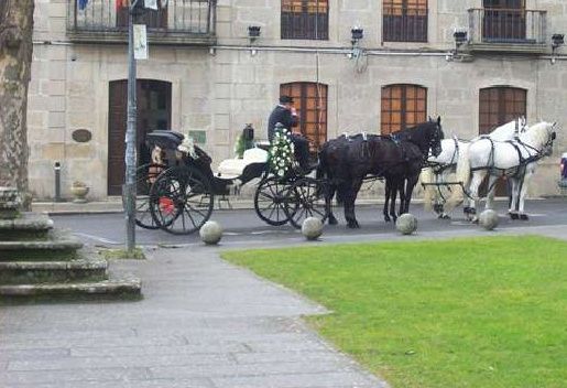 Carriage for Events and Special Occasions64168977918211123