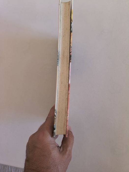 Livro A mais bela história
