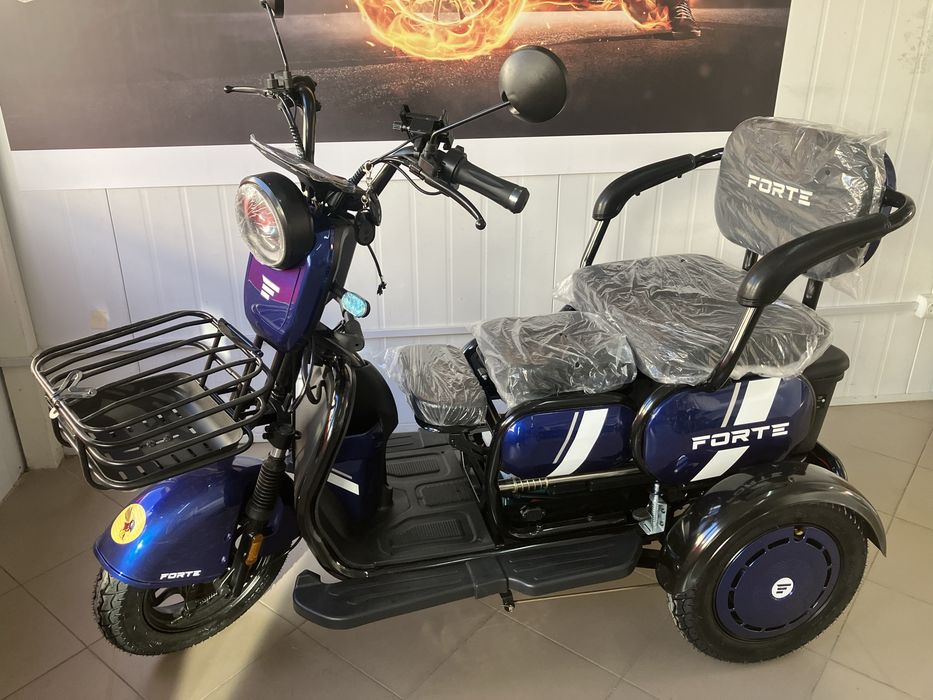 Електричний трицикл Forte Family WN1060