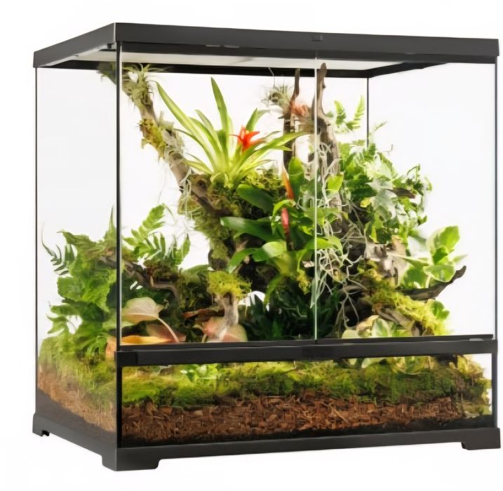 Terrarios novos varios tamanhos