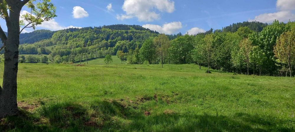 Działka Rolno-Budowlana z WZ w Malowniczej Grzmiącej! - Widok 2