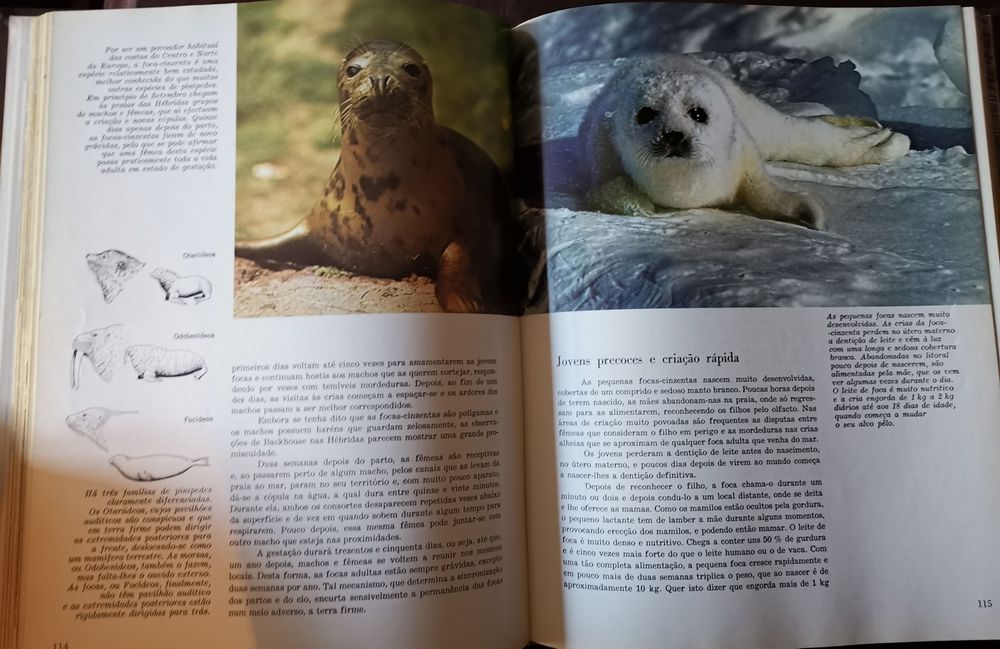 Dois  volumes da enciclopédia "A Fauna"