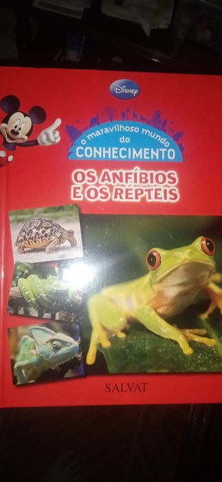 Coleção de 25 livros infantis da Disney