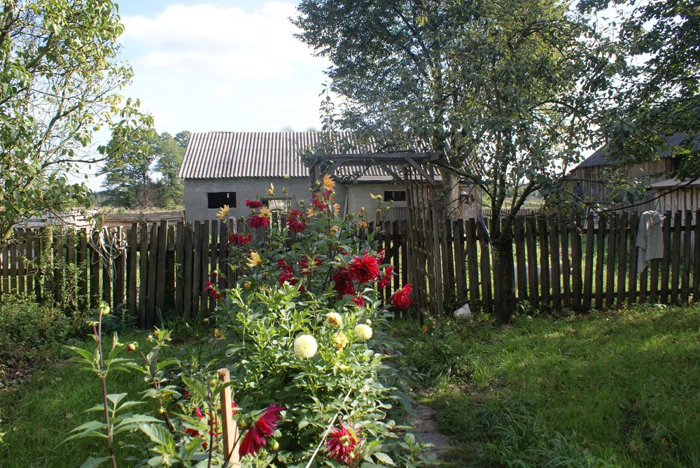 Pensjonat  dla koni blisko Warszawy