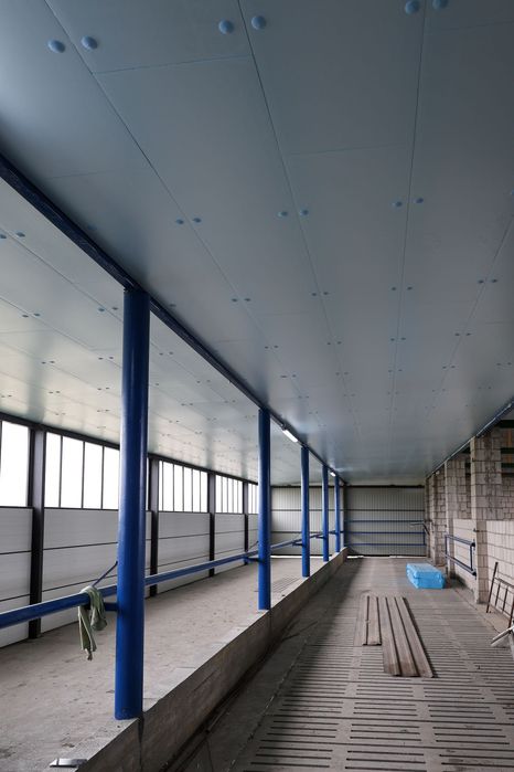 Płyta Izolacyjna Styrodur XPS AGRO Ocieplenie Do Obory Kurnika Chlewni