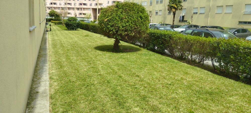 Serviços de jardinagem