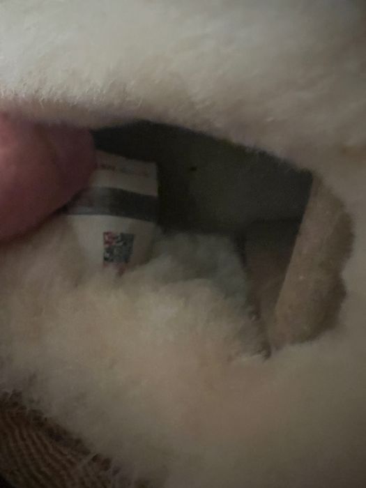 UGG sniegowce buty