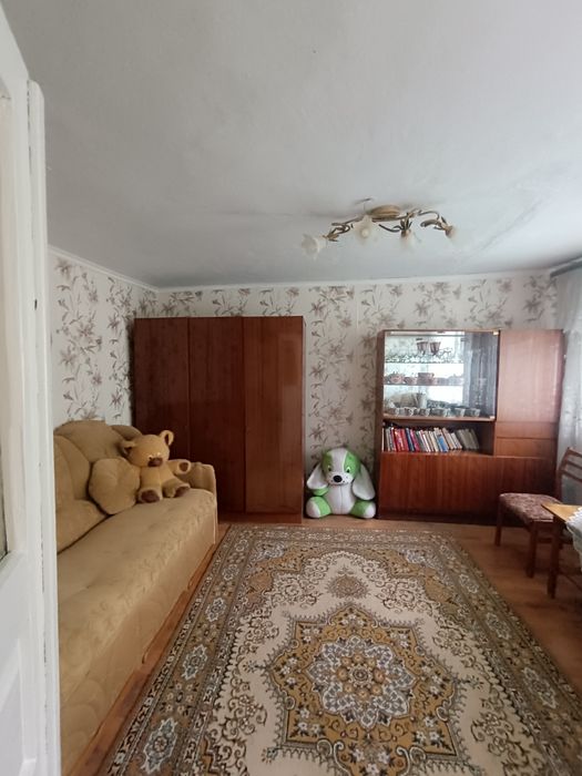 Продається два будиночка на великій ділянці Довжок