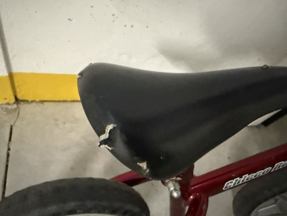 Bicicleta sem pedais chico