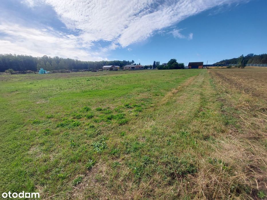 Działki budowlane 900 m² z WZ – Ciarka, blisko lasu i rzeki - Widok 3