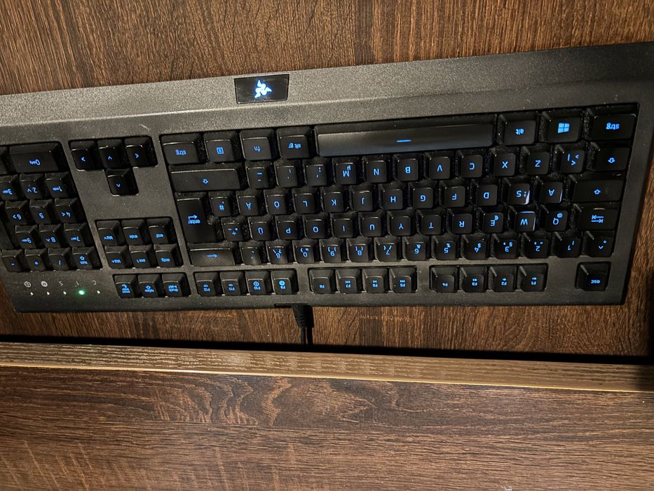 Klawiatura membranowa Ryzer Cynosa Lite RGB