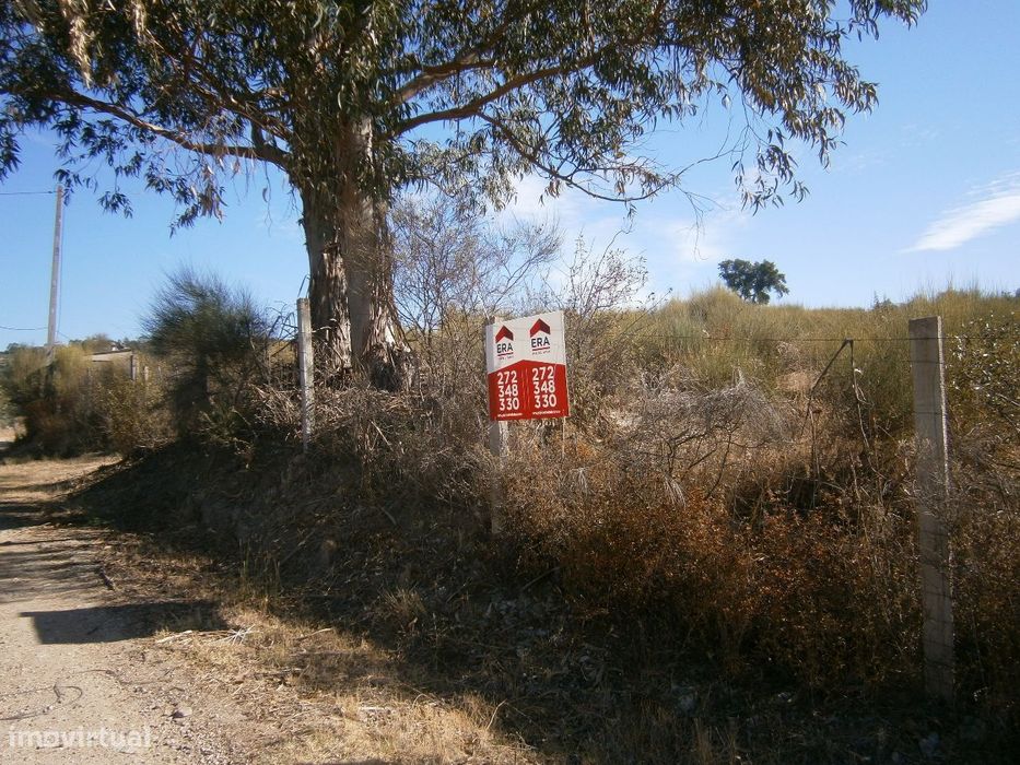 Terreno — Monforte da Beira, Castelo Branco