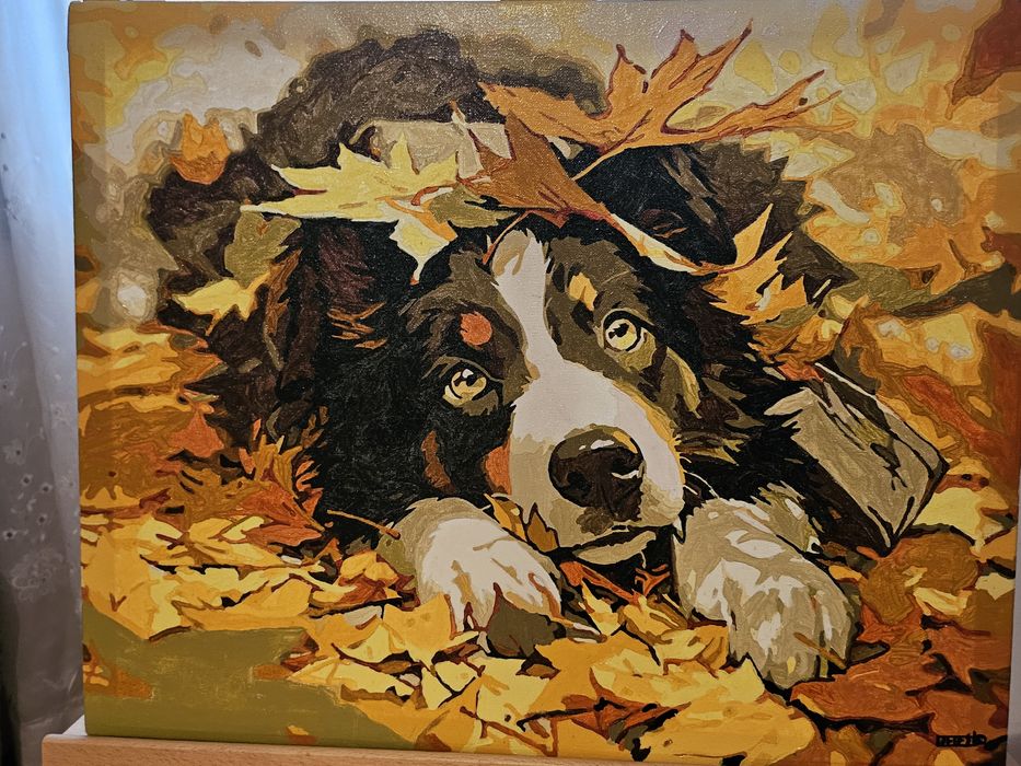 Quadro cão fofinho