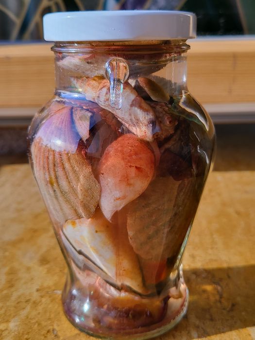 Морской подарок с ракушками