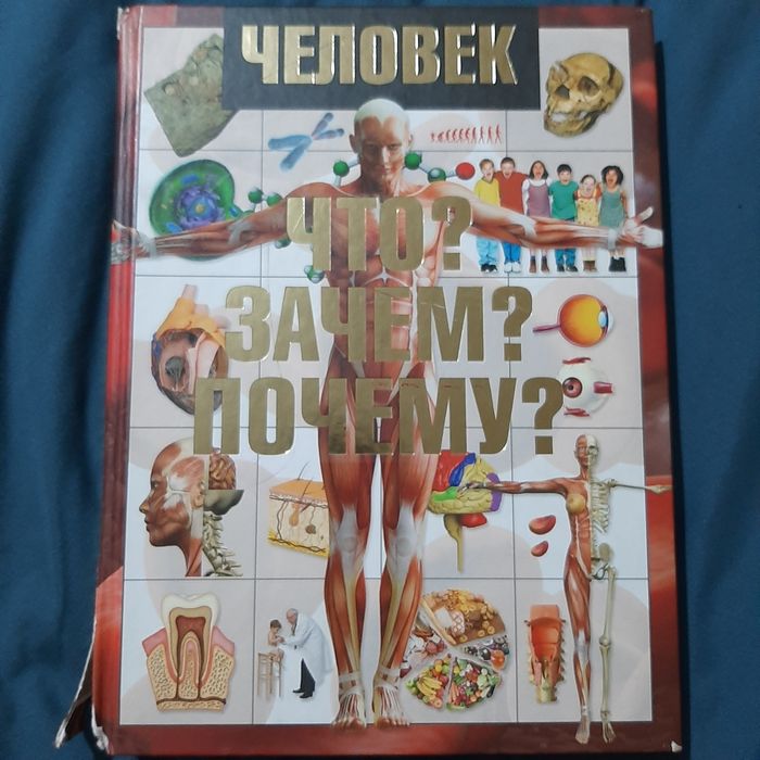 Энциклопедия " Человек. Что? Зачем? Почему?"