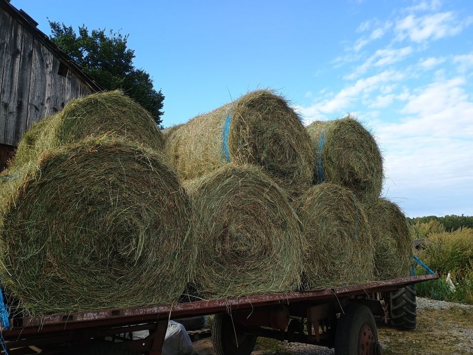 Siano 2025 pierwszy pokos