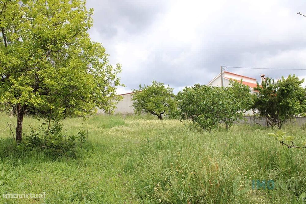 Lote de Terreno