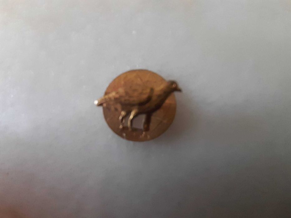 Pin/botão Casa Diana - Lisboa (Espingardaria Samora),  anos 60