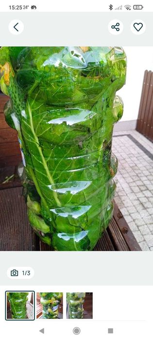 Sprzedam ogórki małosolne  domowej roboty 5 litrów