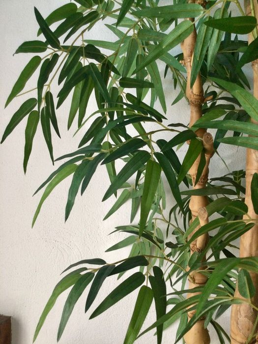 Planta artificial BAMBU