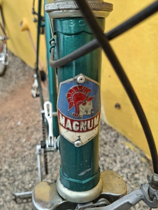 Bicicletas só lote
