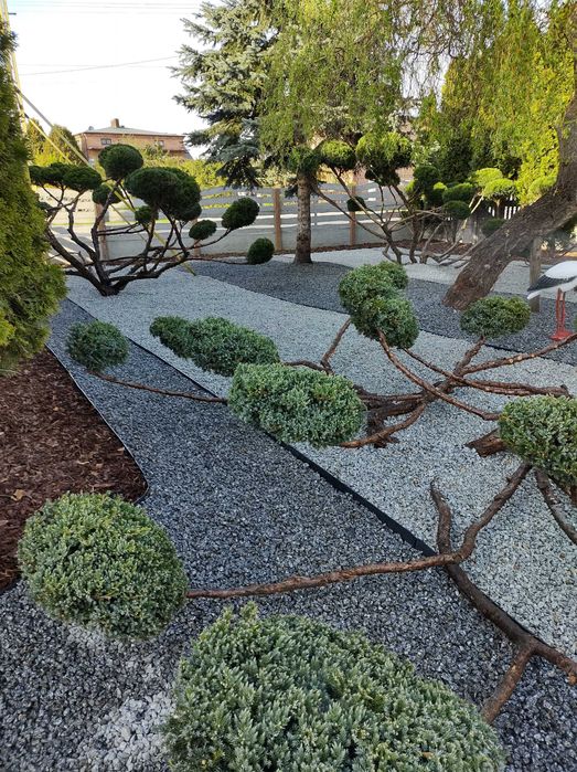 Usługi Ogrodnicze., Zakładanie Ogrodów