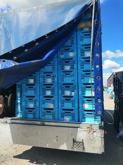 Ящики пламтиковые