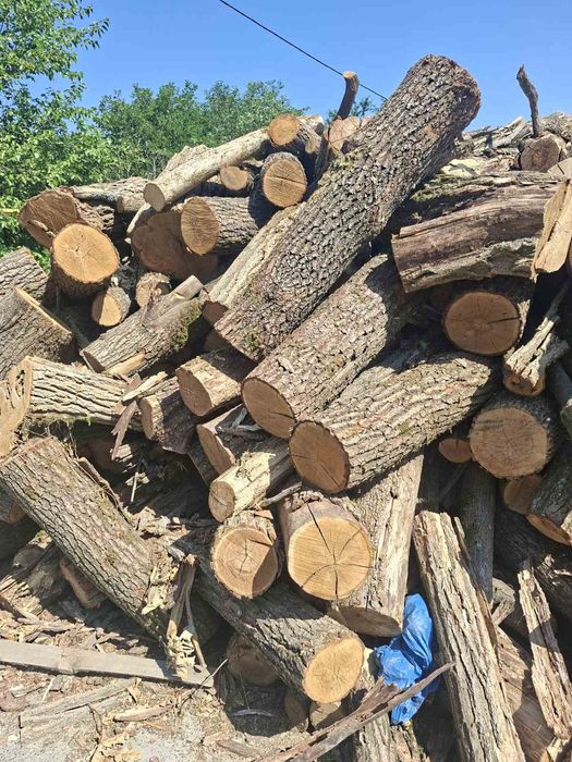 Дрова твердых пород в Измаиле