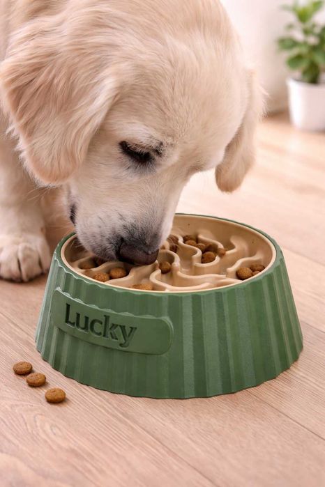Conjunto de Taças para Cão | Comida (Slow Feeder) + Água | Personalizado com Nome