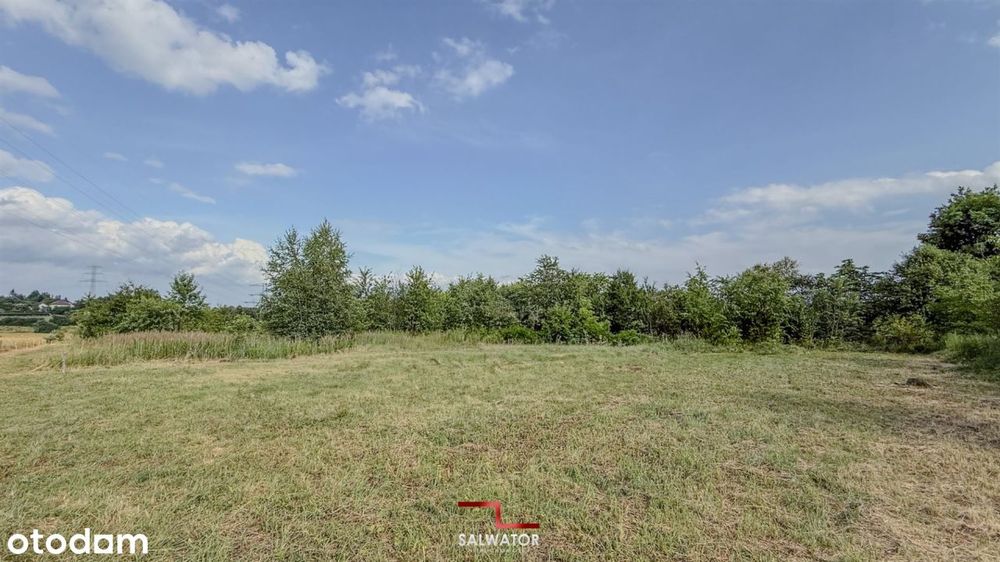 Działka 24,5 ar Żbik Krzeszowice
