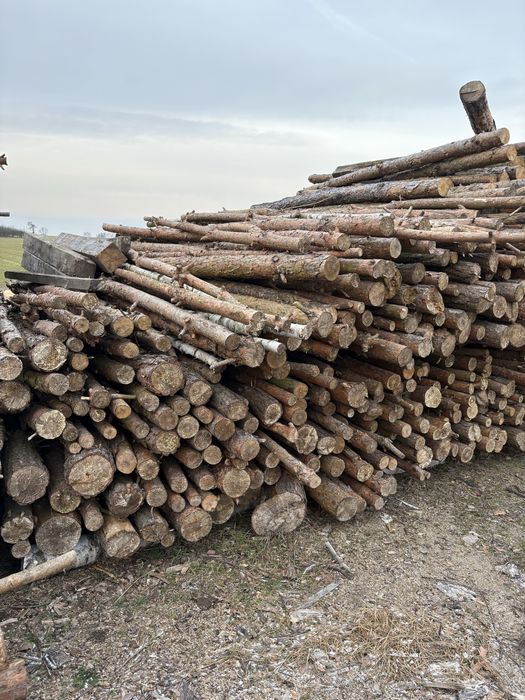 Suche drewno (sosna)
