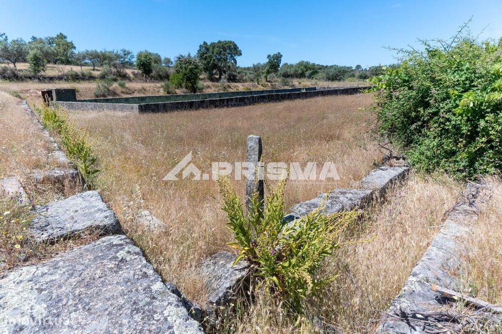 Herdade para Venda em Castelo Branco
