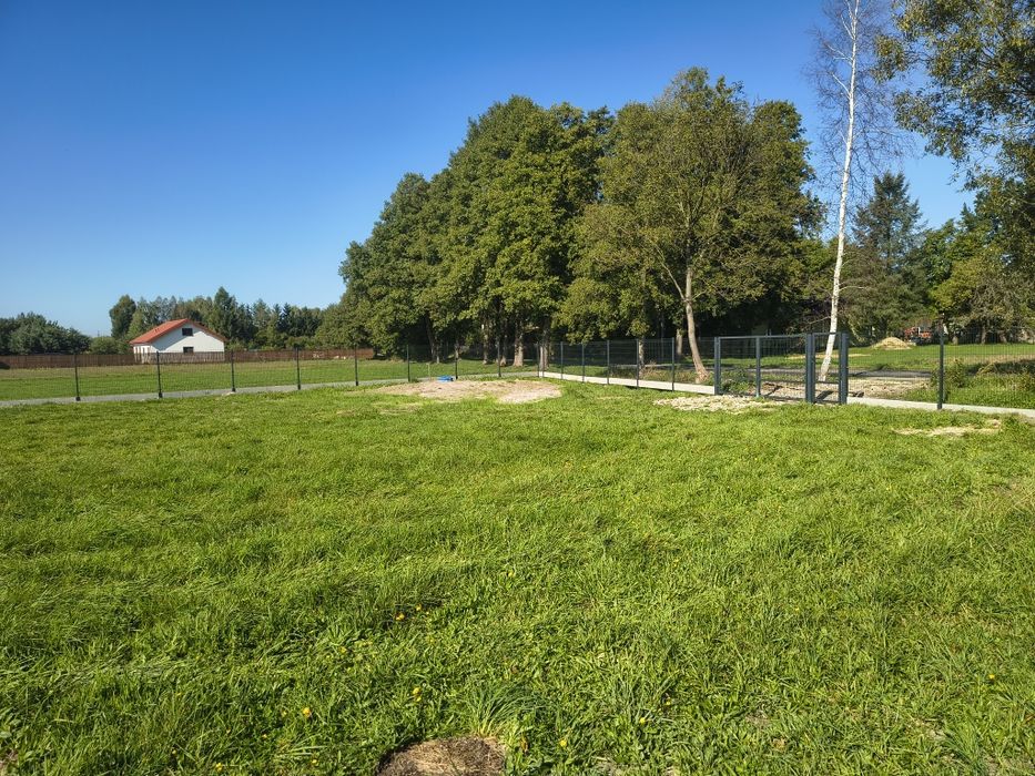 Działka budowlana, ogrodzona, Grotniki, Orła - Widok 2
