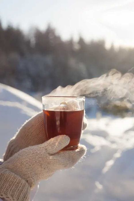 Garrafa Térmica Aço Patilha Segurança+ PORTES/Em Mão Pevidem Guimarães