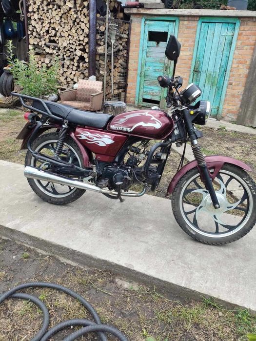 Alpha Musstang 110