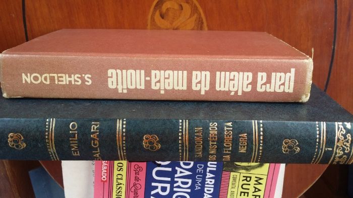 Lote de Livros Diversos 1