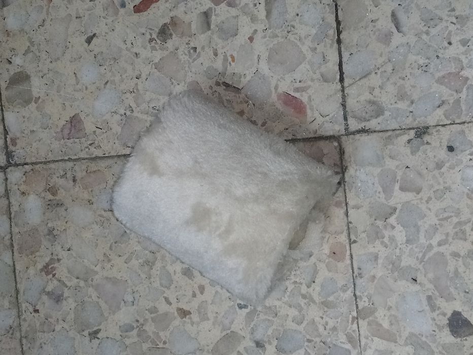 Brinquedos para gatos