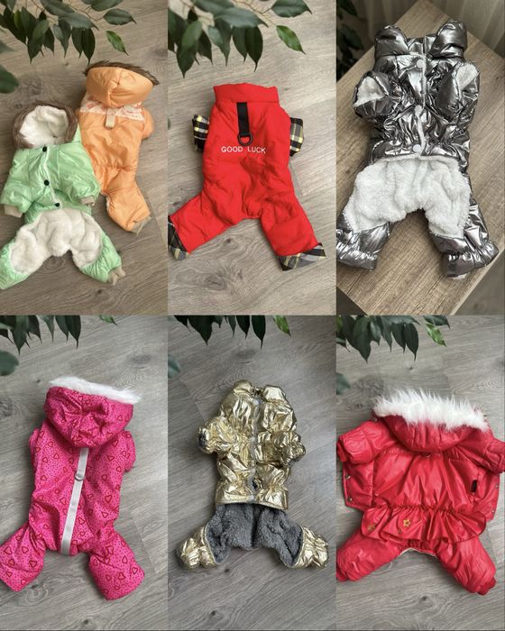 Одяг для собак.