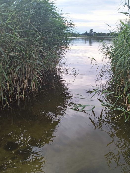 Do wynajęcia domek nad zalewem Zegrzyńskim