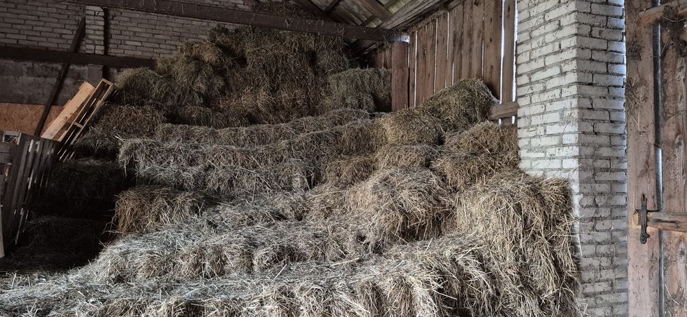 Siano w kostkach