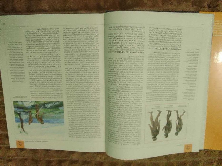 Энциклопедия для детей Аванта. Страны. Народы. Цивилизации. Том 13