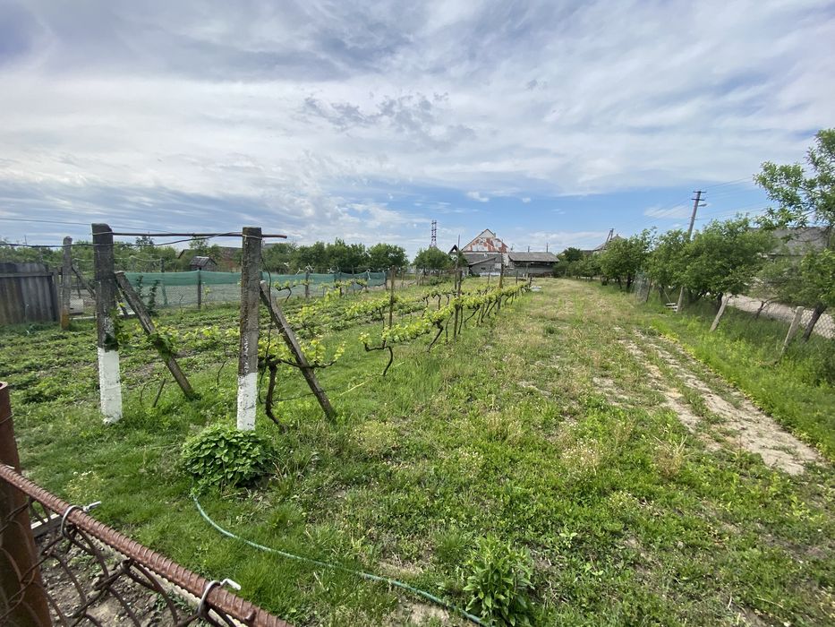 ‼️Продам будинок у передмісті Берегова с. Боржава