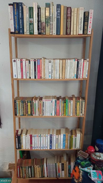 Vendo livros em segunda mão em inglês e francês.