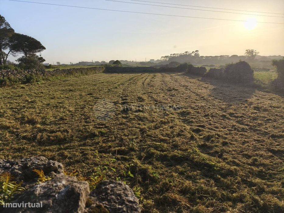 Terreno Rústico com 1.280 m² em Zona Tranquila e de Fácil Acesso