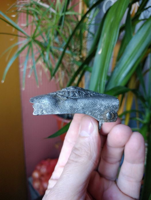 Продам пряжку вермахт GOTT MIT UNS