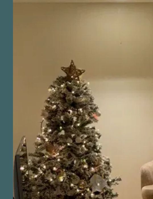 Árvore Natal com neve