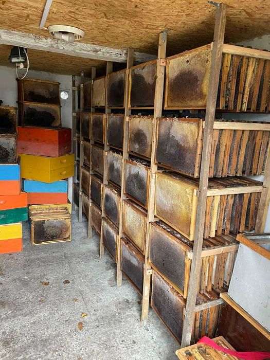 Продається пасіка