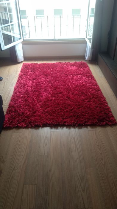 Black Cat Carpet64862266818561121