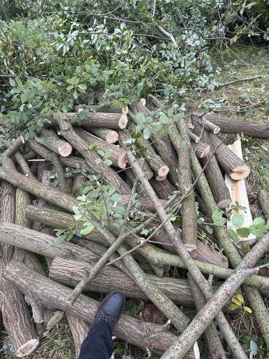 Щепування, подрібнення гілок, чистка