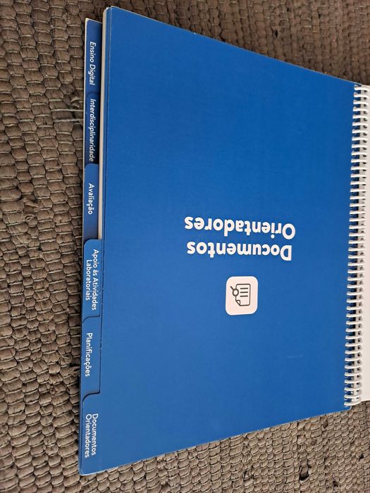 Livro do Professor Física 11 ano (2025)